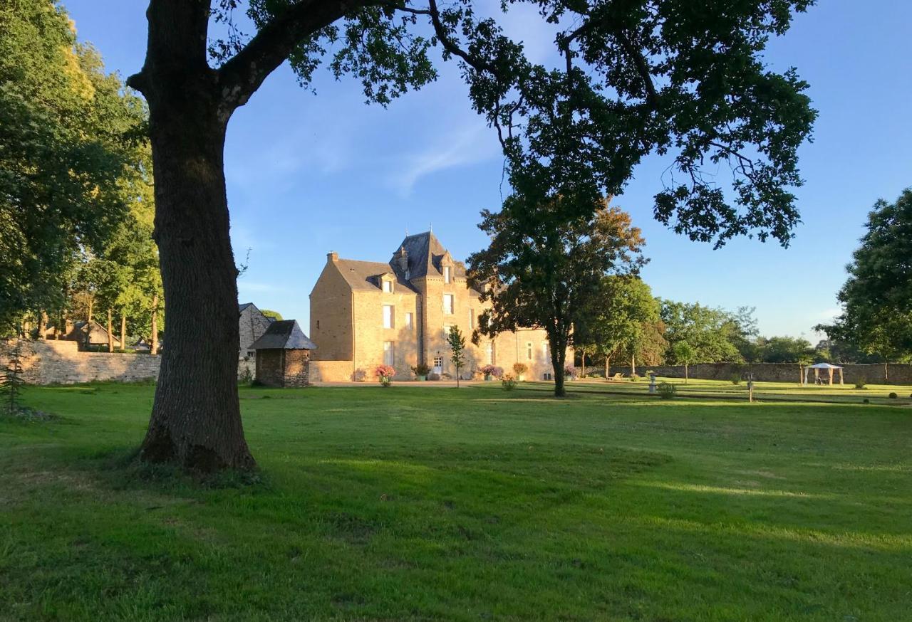 Chateau De Cadouzan Saint-Dolay Ngoại thất bức ảnh