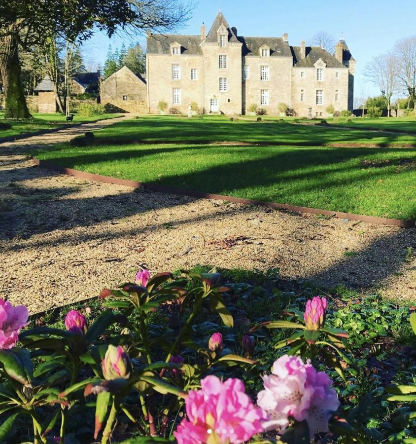 Chateau De Cadouzan Saint-Dolay Ngoại thất bức ảnh